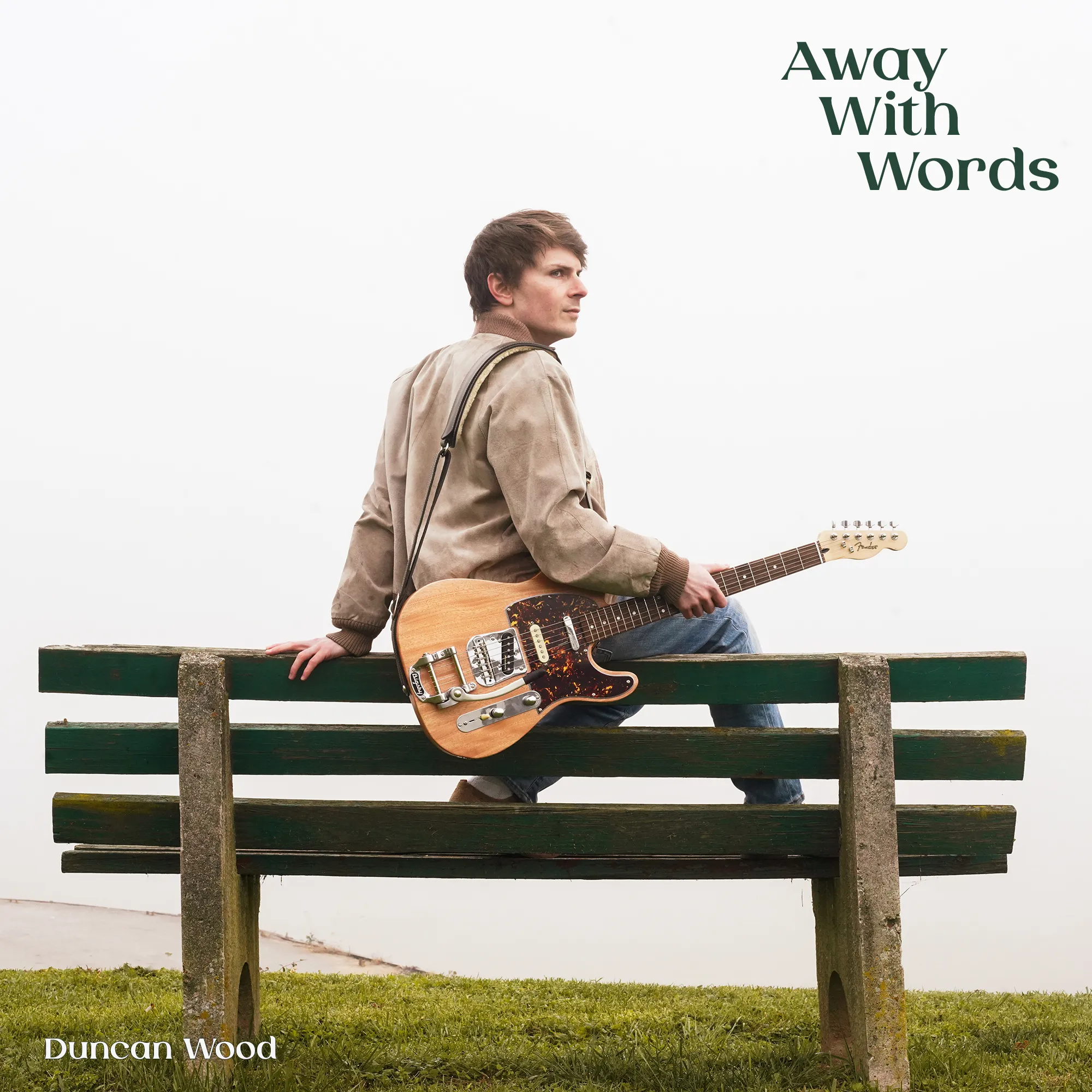 Away With Words album cover